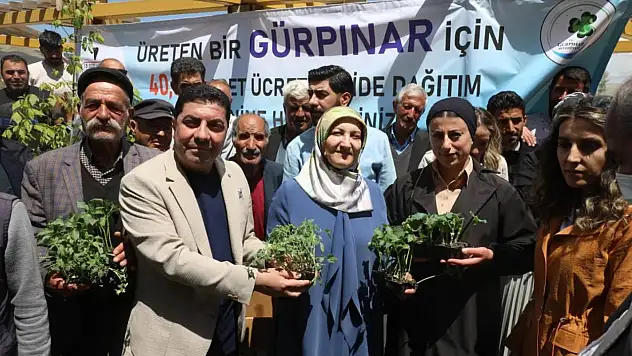 Gürpınar Belediyesi'nden Çiftçilere Destek: 45 Bin Sebze Fidesi Ücretsiz Dağıtıldı