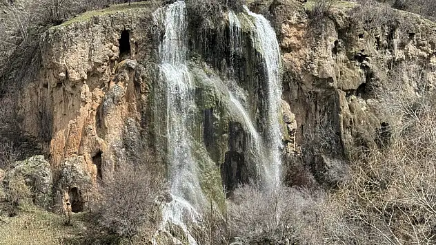 Hakkari'de bahar coşkusu