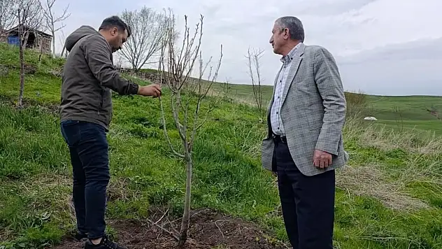 Hamur'da meyve üreticilerine yerinde bakım ve aşılama dersi