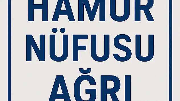 HAMUR NÜFUSU, AĞRI