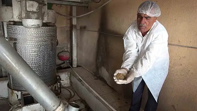 Hibe desteğiyle güçlenen un fabrikası Diyadin'in ekonomik lokomotifi oldu