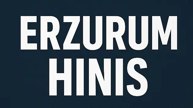 Hınıs Nüfusu – Erzurum Güney Kapısında Mahalle Mahalle Demografik Yapı