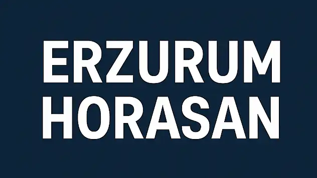 Horasan Nüfusu – Erzurum'un Doğu Kapısında Demografik Dönüşüm ve Mahalle Profili