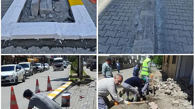 Iğdır Belediyesi'nden Şehir Genelinde Kaldırım ve Refüj Çalışmaları