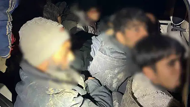 Iğdır'da 12 düzensiz göçmen ve 2 organizatör yakalandı