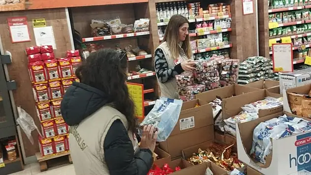 Iğdır'da gıda güvenliği kontrolleri sürüyor