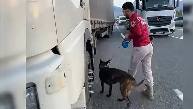 Iğdır'da kaçakçılık operasyonunda 1.376 paket sigara ve dolandırıcılıkla ilgili 4 şüpheli yakalandı