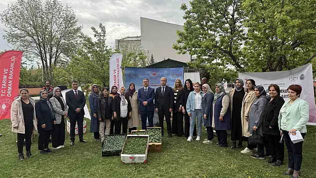 Iğdır'da kadın çiftçilere fide dağıtımı yapıldı