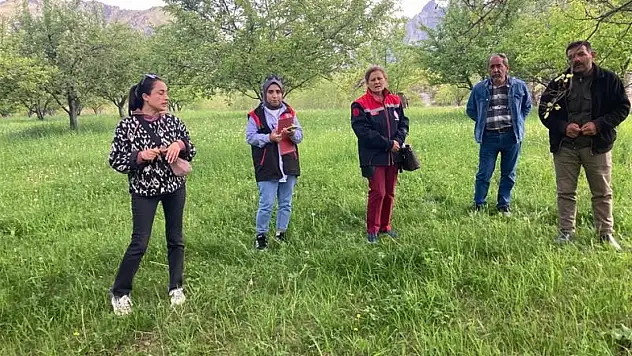 Iğdır'da Meyve Bahçelerinde Hastalık ve Zararlılara Karşı Stratejiler Ele Alındı
