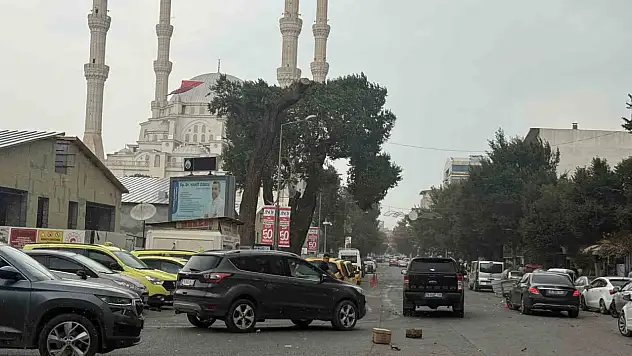 Iğdır'da Şiddetli Fırtına Hayatı Olumsuz Etkiledi