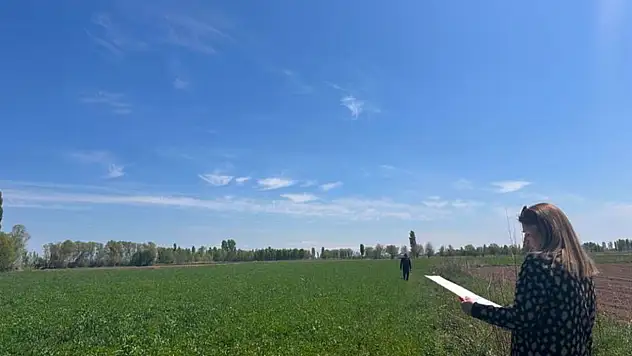 Iğdır'da Tarım Müdürlüğü, yem bitkileri kontrolleri ile verimliliği artırmayı hedefliyor