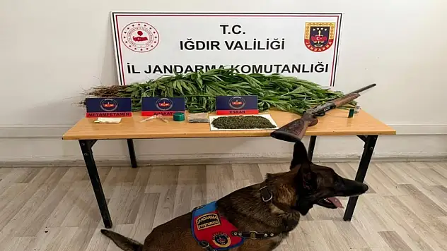 Iğdır'da uyuşturucu operasyonu: 345 gram esrar ve 157 kök kenevir ele geçirildi, 1 tutuklama gerçekleşti.