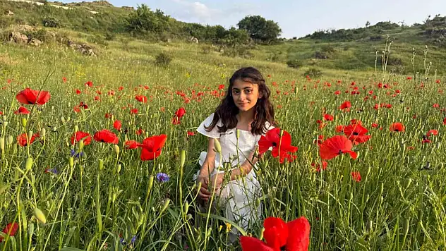 Iğdır'ın Gelincik Tarlaları Göz Alıcı Güzellikte Canlanıyor!