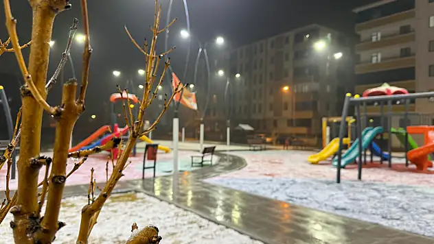 İnce kar tabakası Ağrı'daki parkları beyaza çevirdi