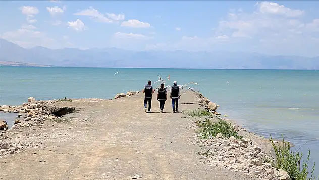 İnci kefali koruma altına alındı, kaçak avcılara göz açtırılmıyor