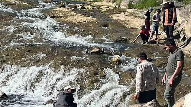 İnci kefalinin göçü, Van'daki Bendimahi Çayı'nda doğa severleri ağırlıyor