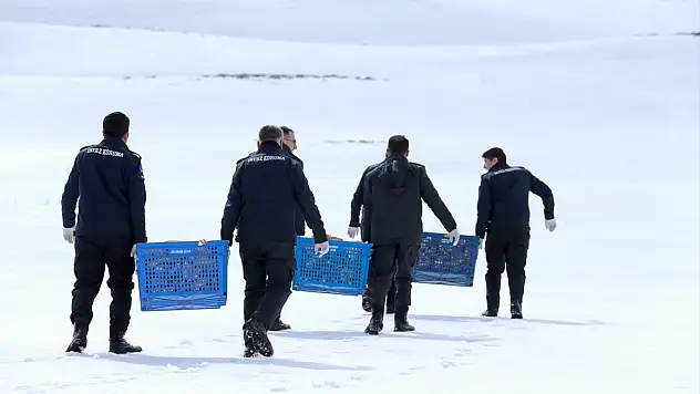 İnfaz koruma memurlarından yaban hayatına anlamlı destek