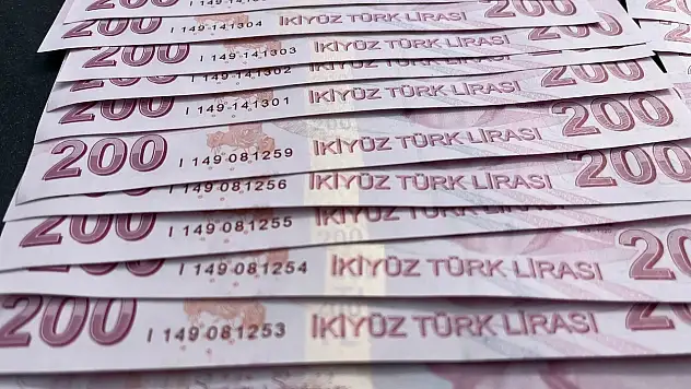 İŞKUR'dan Hibe Desteği Başladı! Engelli ve Eski Hükümlülere 735 Bin TL'ye Varan Destek
