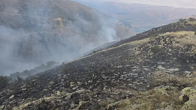 İspir'deki orman yangını teknoloji ve vatandaş dayanışmasıyla söndürüldü