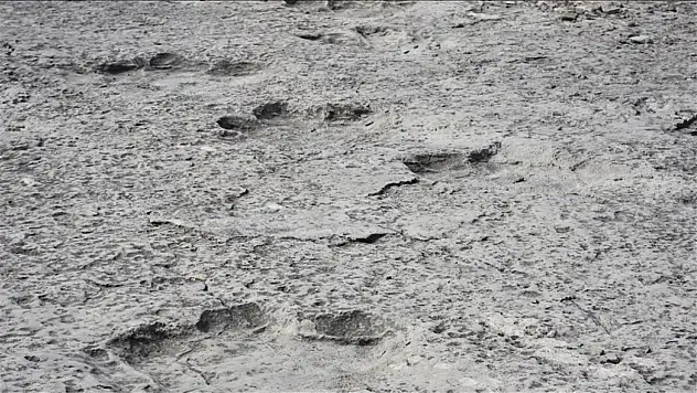 İtalya'da 200 milyon yıl öncesine ait binlerce dinozor ayak izi keşfedildi