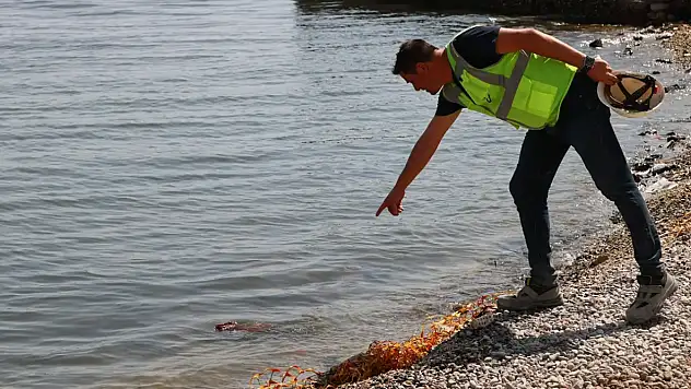 İzmir Körfezi Tehlikede! Çevre Kirliliğine Karşı Çöp Poşeti ile Mücadele Başlatıldı