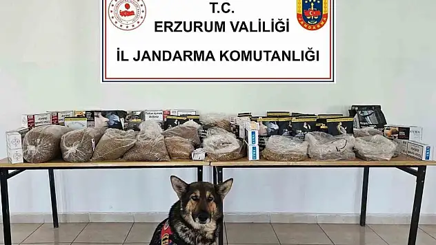 Jandarma'dan Kaçak Tütüne Darbe
