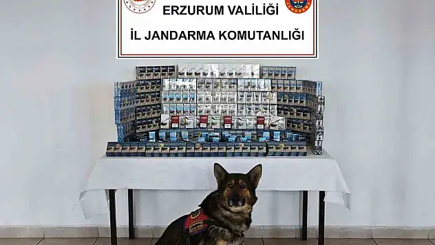 Jandarmadan kaçakçılara geçit yok