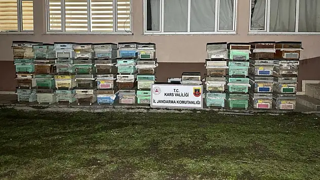 Kağızman ve Tuzluca'da Meydana Gelen Arı Kovanı Hırsızlığı Olayları Aydınlatıldı