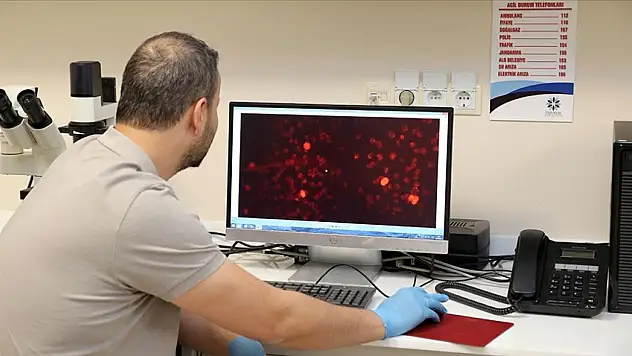Kan testiyle alzheimer tespiti: Erzurum'da yürütülen proje heyecan yarattı