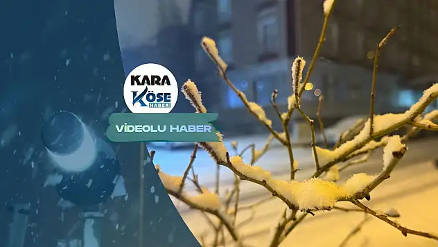 Kar yağışı Ağrı'yı etkisi altına aldı