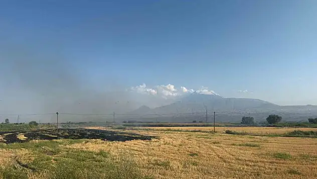 Karakoyunlu'da anız yangını, hasat sonrası tarlaları tehdit ediyor