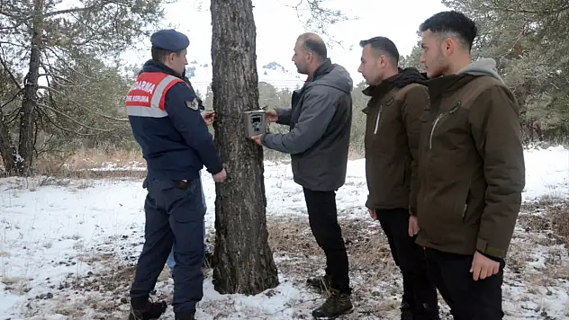 Kars'ın ormanlarına yaban hayvanlarını izlemek için fotokapanlar yerleştirildi