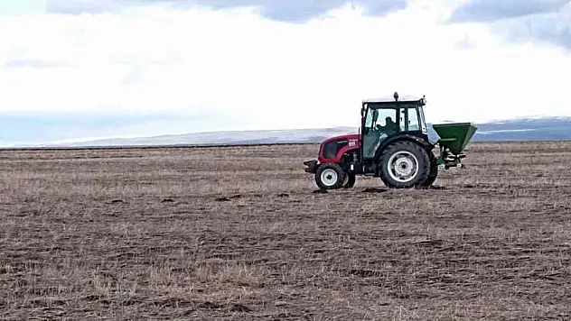 Kars'ta bahar geldi tarlalar yeniden canlandı