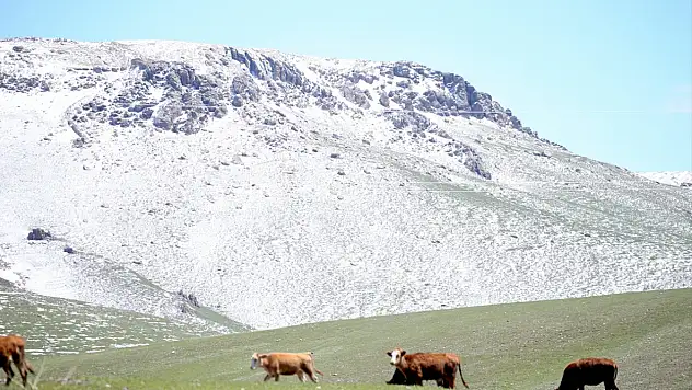 Kars'ta dağlar ve köyler yeniden beyaza büründü