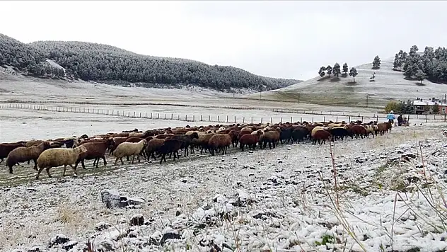 Kars'ta mevsimin ilk karı yağdı