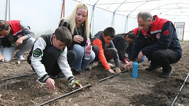 Kars'ta özel öğrenciler serada üretimin bir parçası oluyor