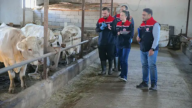 Kars'ta şap hastalığına karşı 100 kişilik ekip sahada