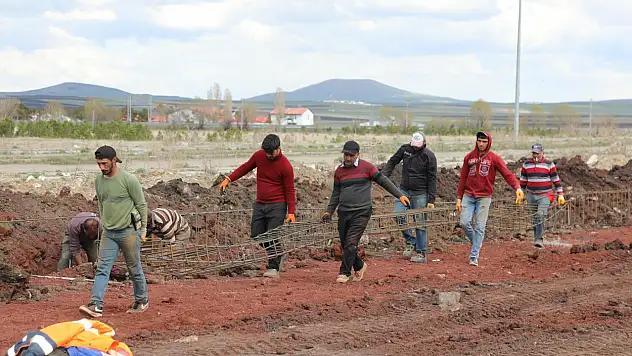 Kars'ta Sokak Hayvanları İçin Doğal Yaşam Alanı Kuruluyor