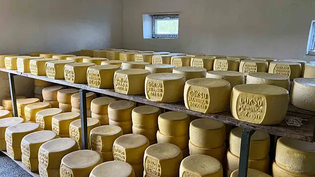 Kars'ta Tonlarca Süt, Geleneksel Eski Kaşar Peynirine Dönüşüyor!