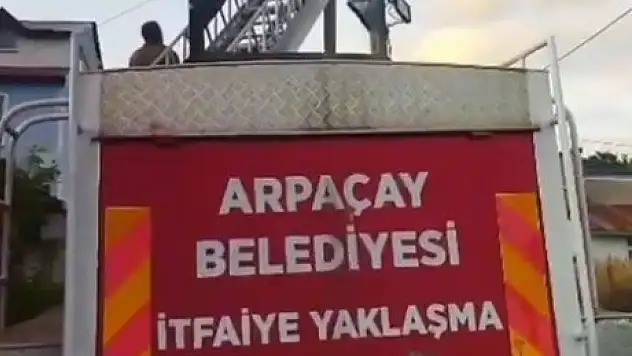 Kars'ta Yuvadan Düşen Yavru Leylek Tekrar Yuvaya Kavuştu