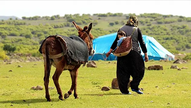 Kırsal alarm: Türkiye büyüyor ama köyler boşalıyor