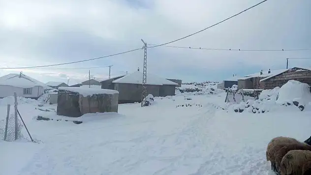 Kışkılı köyünde yoğun kar, besicilerin geçimini tehlikeye atıyor