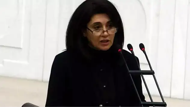 Leyla Zana neden küfür edildi?