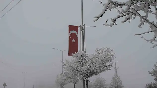 Malazgirt'te Sibirya soğukları