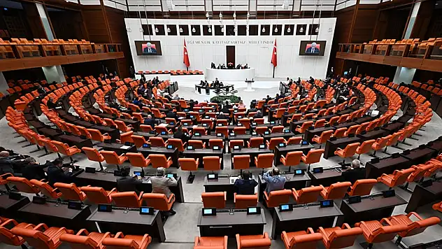 Meclis çocuk suçluluğu için düğmeye bastı