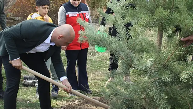 Milli Ağaçlandırma Günü'nde Doğubayazıt yeşerdi