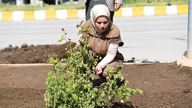 Muş Belediyesi Eş Başkanı Tuba Sayılğan Çalışmaları Yerinde İnceledi