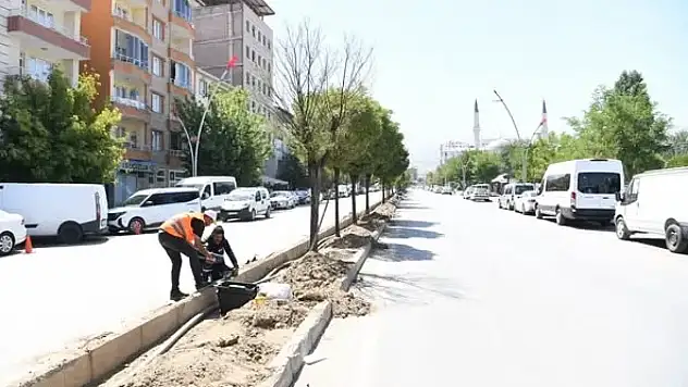 Muş Belediyesi'nden İstasyon Caddesi'nde Yeşillendirme ve Sulama Atağı