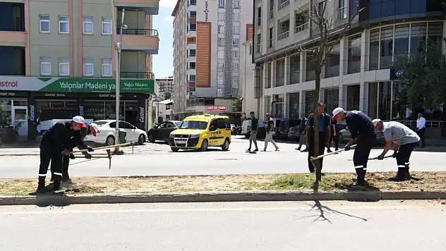 Muş İstasyon Caddesi'nde yeşillendirme projesi, şehrin doğasına katkı sağlıyor