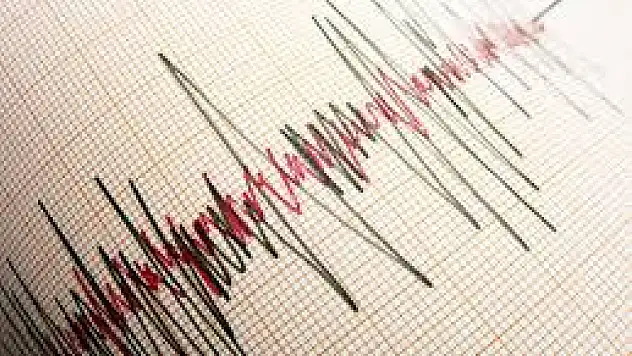 Muş'ta 4,1 büyüklüğünde deprem meydana geldi